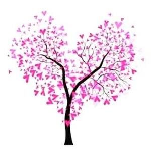 Meet your Posher, Dolly